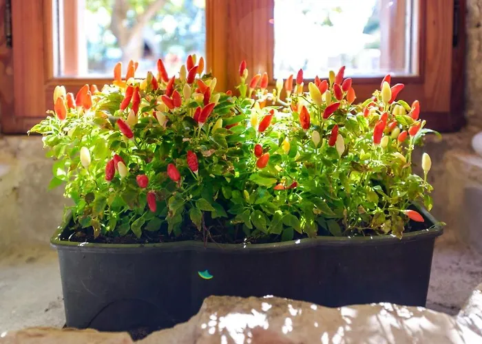 Villa Luxury Beachfront Mare With Private Pool At The - Peljesac